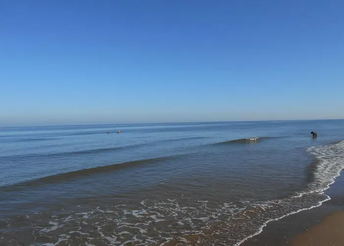 Zomerhuis Wonders Hébergement de vacances